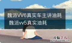 魏派VV6真实车主讲油耗 魏派vv5真实油耗