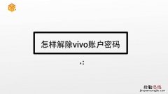 vivo账号密码是什么