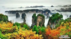 门前荷塘，院里繁花，小两口回农村，6年过上神仙般的田园生活！