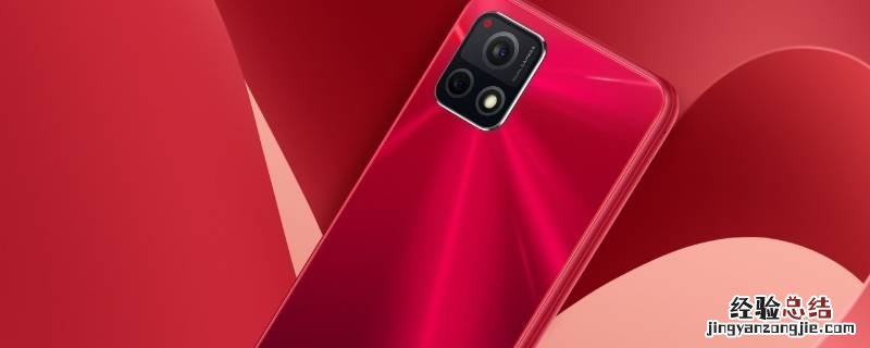 vivoy31s与Y31S标准版区别 vivoy31s标准版和vivoy31s有什么区别