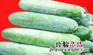 节瓜是什么瓜 节瓜是什么蔬菜