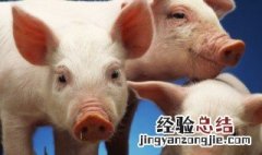 槽头肉是哪个部位 槽头肉是哪个部位图片