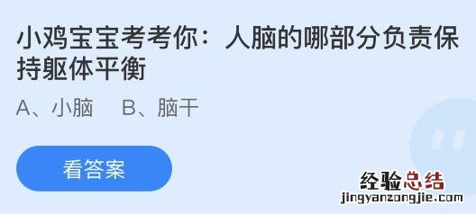 今日蚂蚁庄园小鸡课堂正确答案最新：人脑哪部分负责保持躯体平衡？哪个地方被称为中国第一洲？