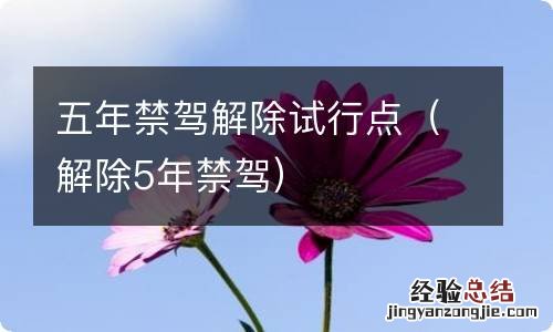 解除5年禁驾 五年禁驾解除试行点