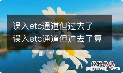 误入etc通道但过去了 误入etc通道但过去了算违章