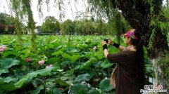 腊梅夏天怎样修剪