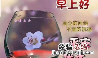养生小知识早安问候语 养生是什么意思