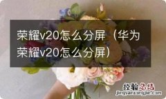 华为荣耀v20怎么分屏 荣耀v20怎么分屏