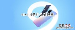 vivos9是什么处理器