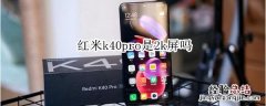 红米k40pro是2k屏吗