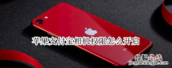 苹果支付宝相机权限怎么开启