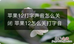 苹果12打字声音怎么关闭 苹果12怎么关打字音量