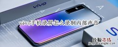 vivo手机录屏怎么录制内部声音