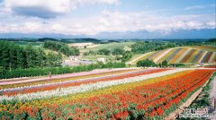 日本北海道有哪些景点