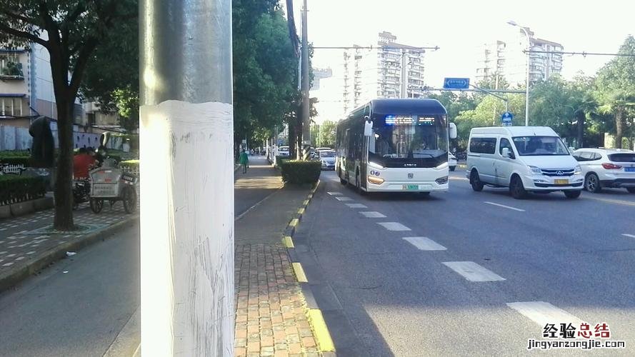 大学路到彭浦新村几路公交车