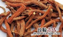 菜参的功效与作用及食用方法 什么是菜参