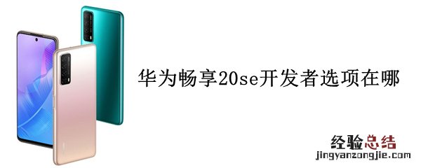 华为畅享20se开发者选项在哪