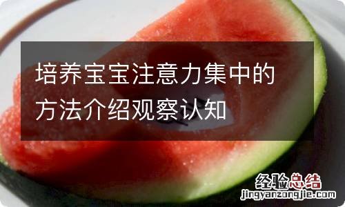 培养宝宝注意力集中的方法介绍观察认知