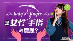 finger是什么意思