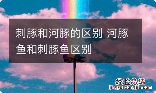 刺豚和河豚的区别 河豚鱼和刺豚鱼区别