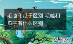 毛嗑和瓜子区别 毛嗑和瓜子有什么区别