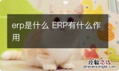 erp是什么 ERP有什么作用