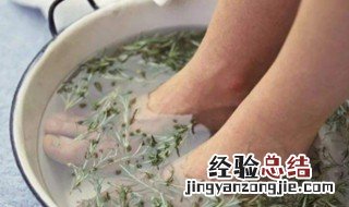 艾叶泡脚要煮还是直接放热水里 艾叶泡脚的正确方法和时间