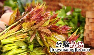 什么时候吃香椿芽好 什么时候是吃香椿芽的最佳时间