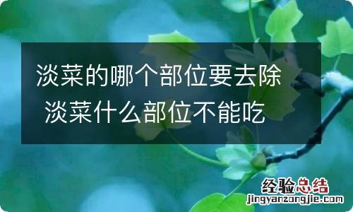 淡菜的哪个部位要去除 淡菜什么部位不能吃