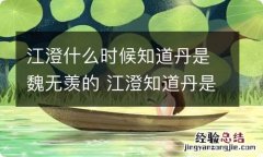 江澄什么时候知道丹是魏无羡的 江澄知道丹是魏无羡的在哪一集