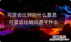 可变齿比转向什么意思 可变齿比转向是干什么的