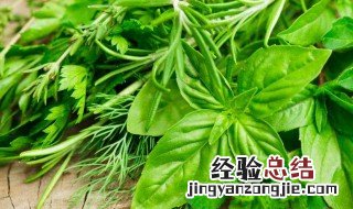 吃马兰头的最佳季节是什么时间 马兰头什么时候吃最好