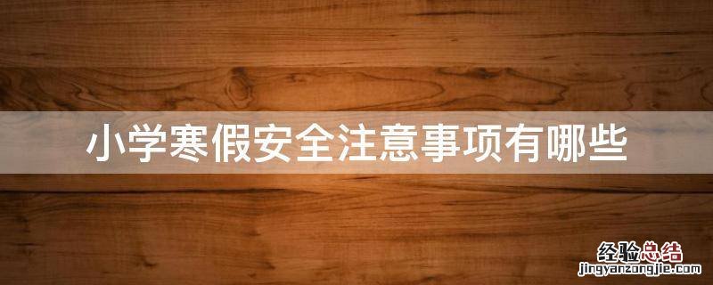 小学寒假安全注意事项有哪些