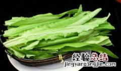 油麦菜是什么菜?是生菜吗 油麦菜是什么菜