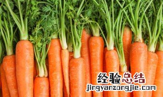 胡萝卜常温能放多久 胡萝卜可以放多久