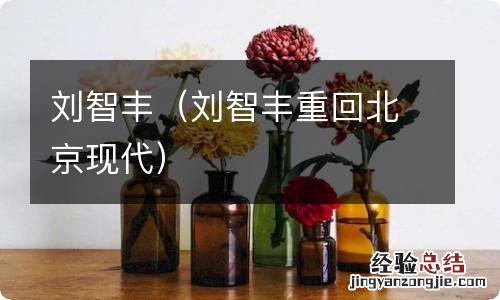 刘智丰重回北京现代 刘智丰