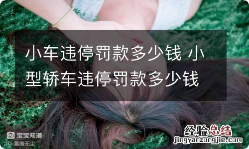 小车违停罚款多少钱 小型轿车违停罚款多少钱