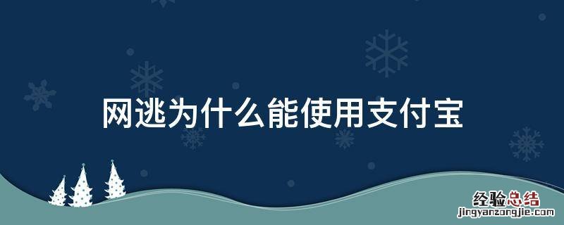 网逃为什么能使用支付宝