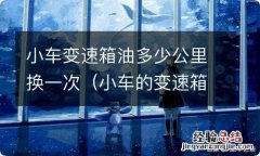 小车的变速箱油多少公里换一次 小车变速箱油多少公里换一次