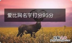 爱比网名字打分95分