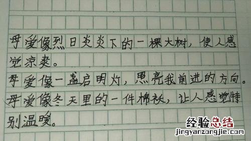 关于母爱的俗语
