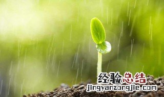 英文雨天说说心情短语 英文雨天说说心情短语 有哪些