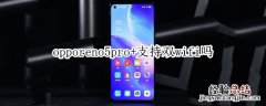 opporeno5pro+支持双wifi吗