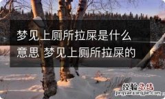 梦见上厕所拉屎是什么意思 梦见上厕所拉屎的意思