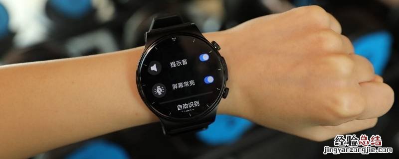 gt2pro支持鸿蒙系统吗 鸿蒙系统 gt2 pro