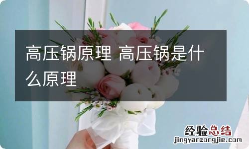 高压锅原理 高压锅是什么原理