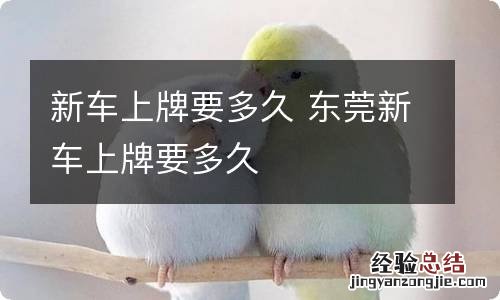 新车上牌要多久 东莞新车上牌要多久