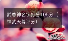 神武天尊评分 武尊神名字打分105分