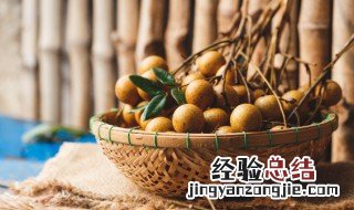 桂圆怎样保鲜才不爱坏 如何保存桂圆