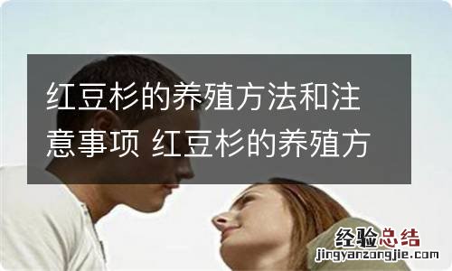 红豆杉的养殖方法和注意事项 红豆杉的养殖方法